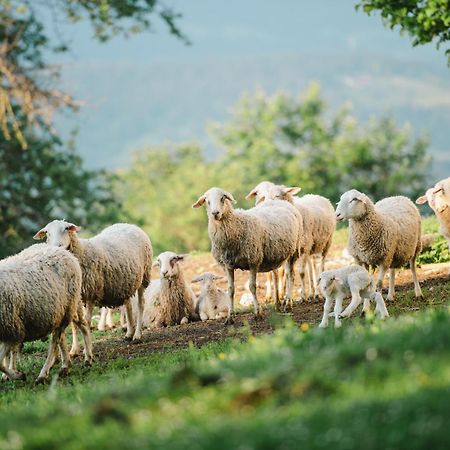 Eco Tourist Farm Ravnjak Словени Градец Екстериор снимка
