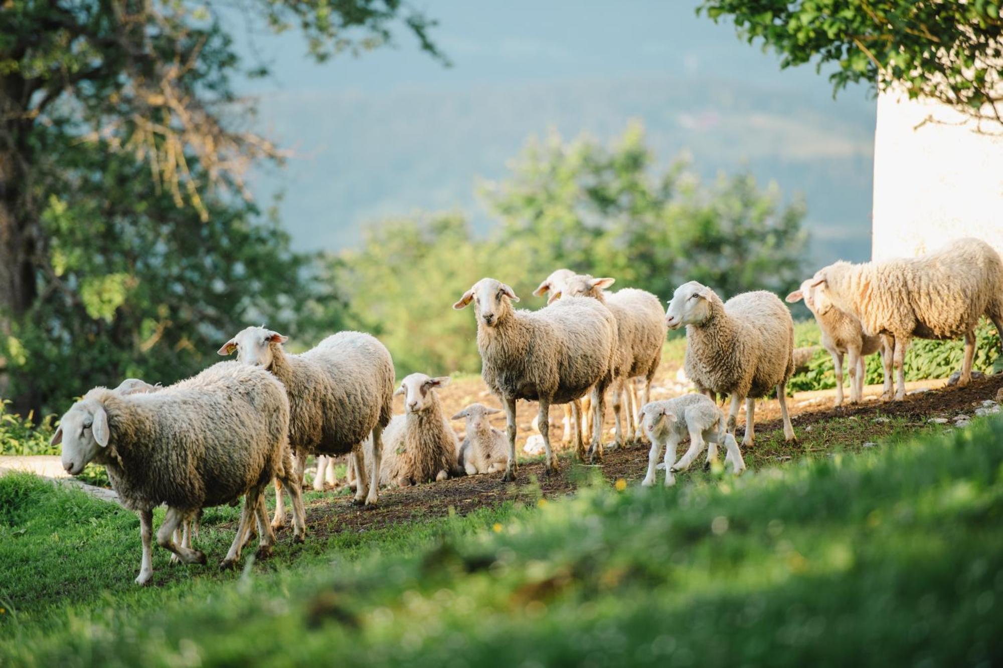 Eco Tourist Farm Ravnjak Словени Градец Екстериор снимка